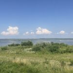 A Tisza-tó