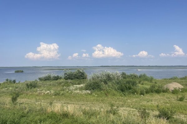 A Tisza-tó